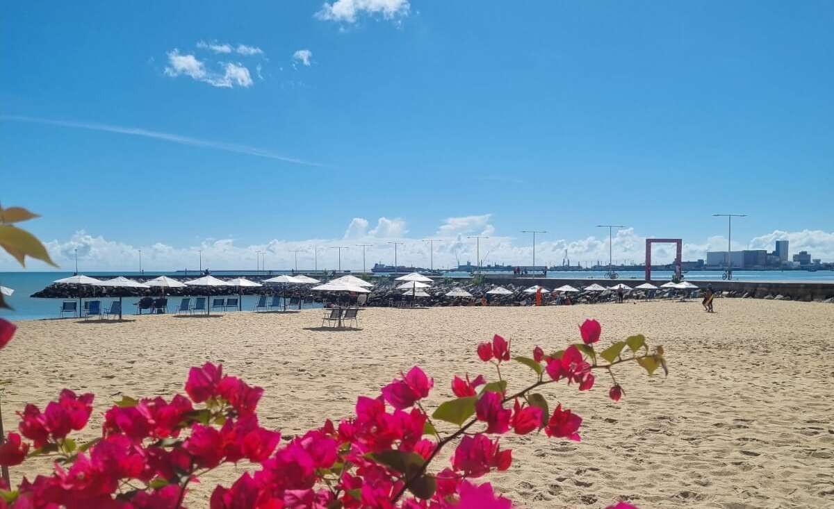 Saiba quais trechos de praias estão próprios para banho neste fim de semana em Fortaleza