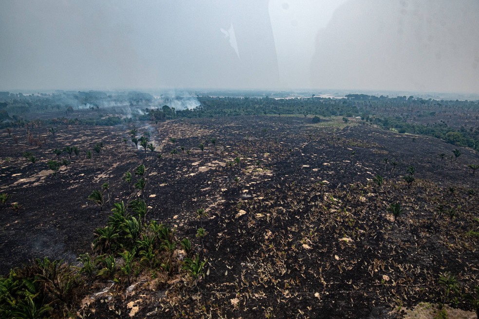 3 de 5
Maior parte dos inc&ecirc;ndios no Amazonas vem de &aacute;reas com cadastro rural, aponta Inpe &mdash; Foto: Divulga&ccedil;&atilde;o/Ibama
