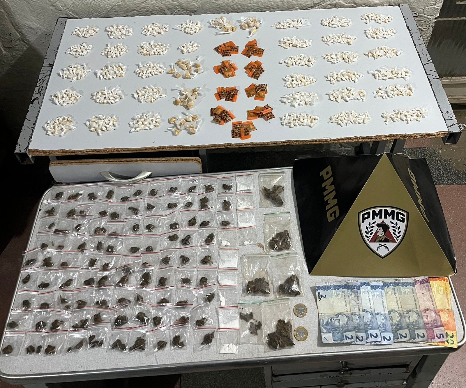 Cães farejadores encontram drogas enterradas em terreno e homens são presos em Montes Claros