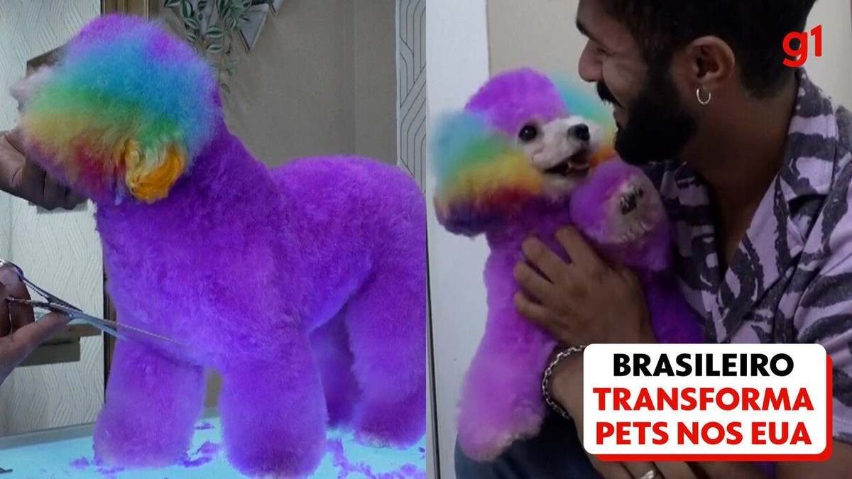 Brazilian man turns pets into ‘magical creatures’ in US |  Pets