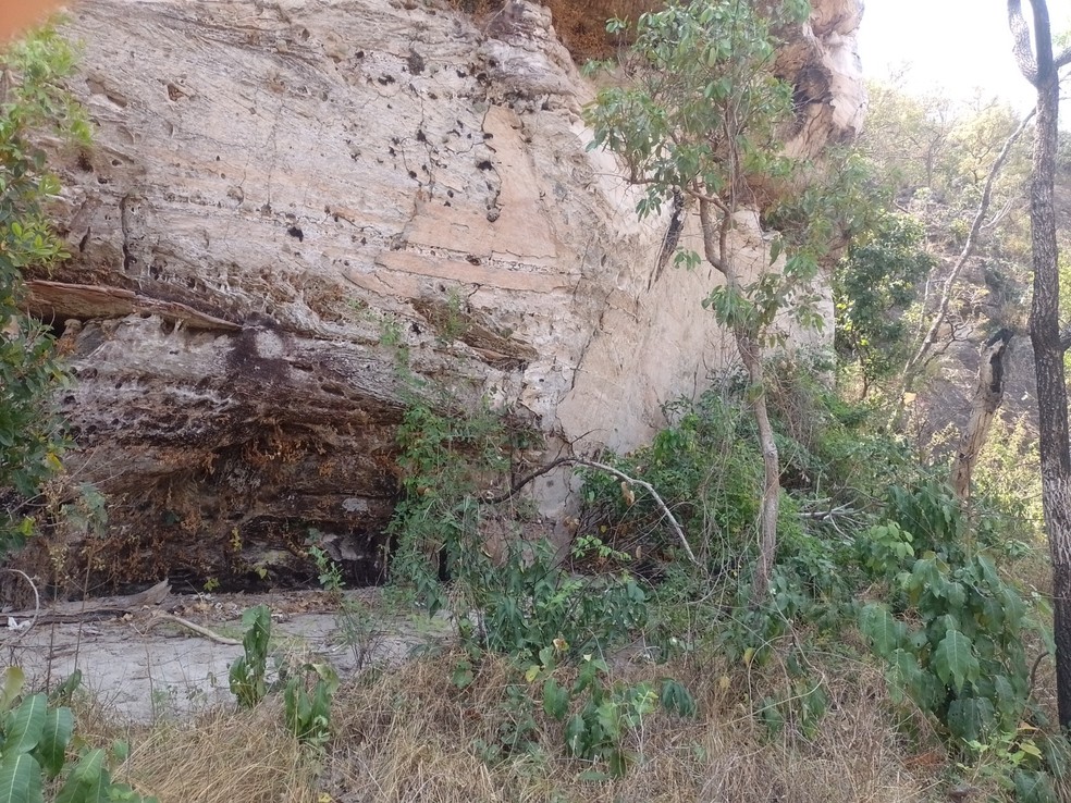 Avanço da vegetação sobre paredão rupestre — Foto: Rômulo Macedo/ Iphan