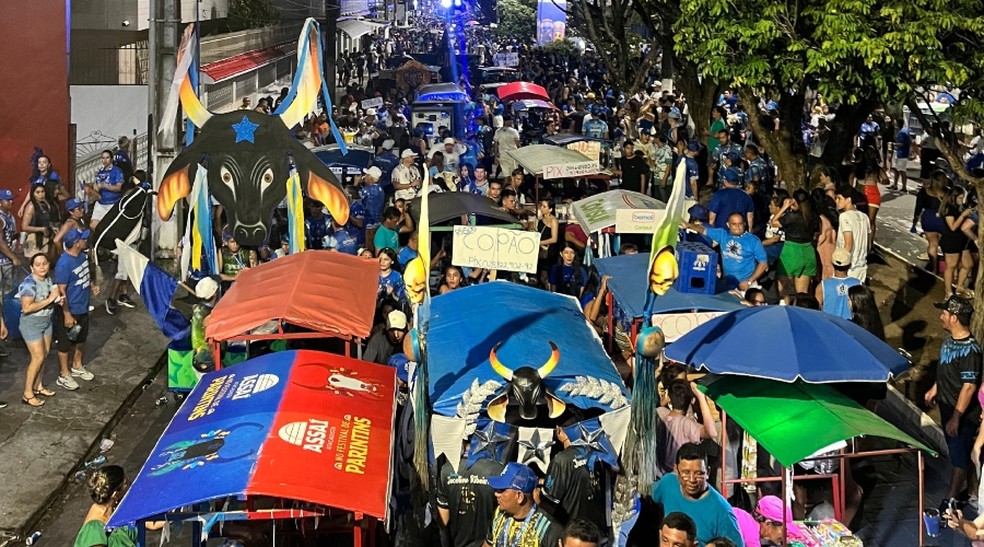 Boi de Rua 2024 em Parintins — Foto: g1 AM