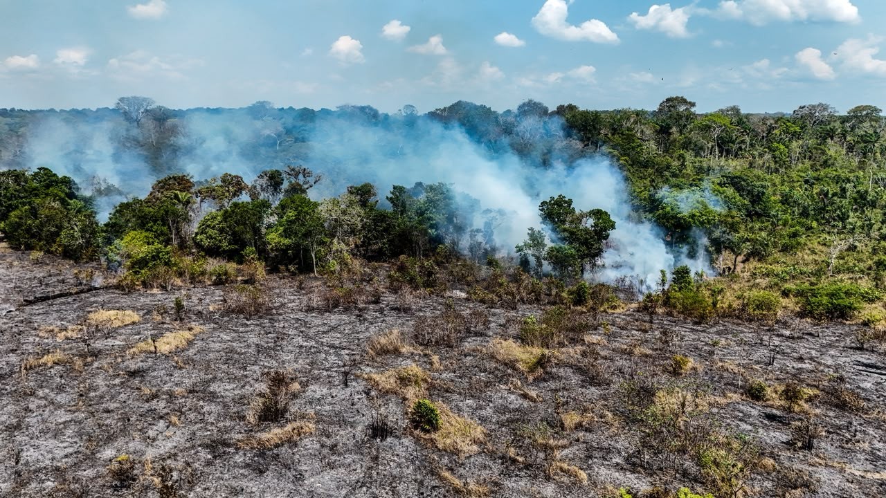 Fogo continua ativo após 17 dias e avança para mata fechada em Itacoatiara
