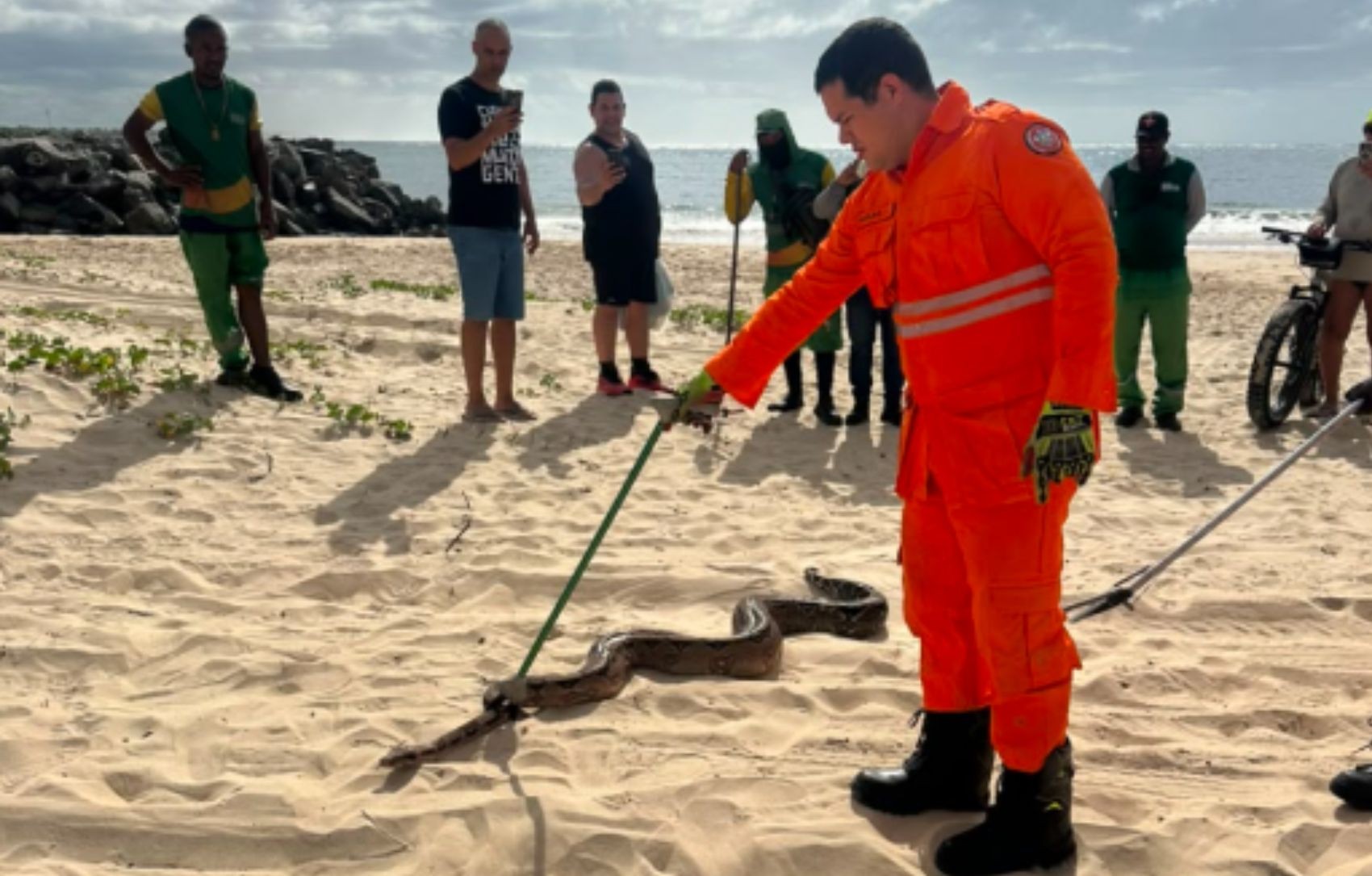 Jiboia de cerca de dois metros é capturada em praia de Aracaju