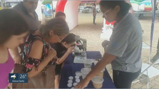 Dia D contra dengue movimenta 23 cidades nas regies de Campinas e Piracicaba