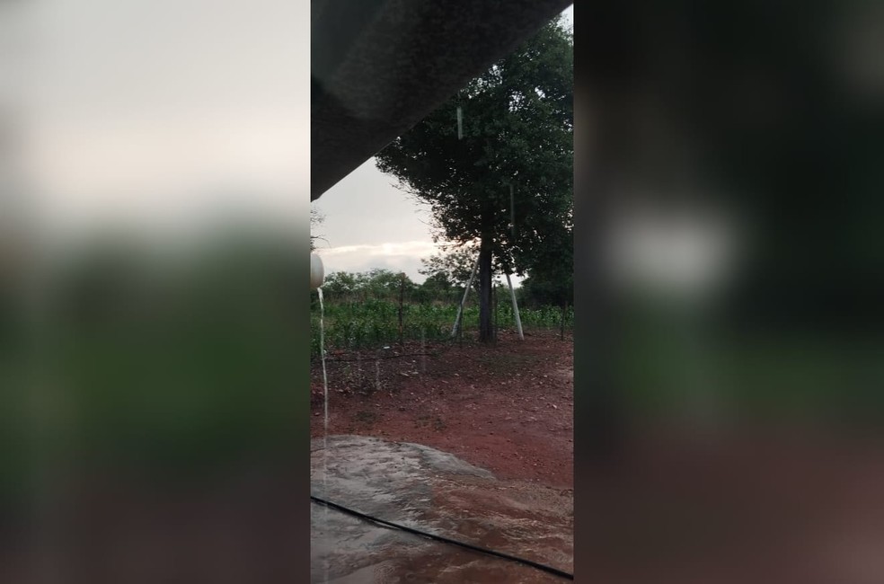 Chuva em Saboeiro, Sítio Cruzeta. — Foto: Reprodução