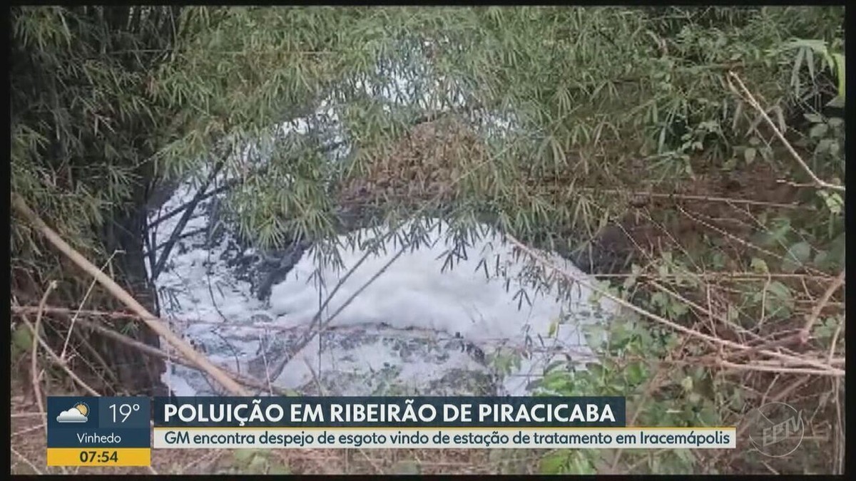 Guarda Municipal Flagra Despejo De Esgoto De Estação Em Afluente Do Rio Piracicaba Piracicaba