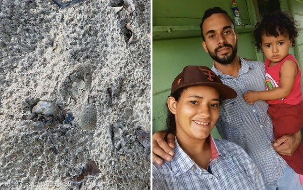Maria Fernanda: a cronologia do desaparecimento da menina em Goiás | G1