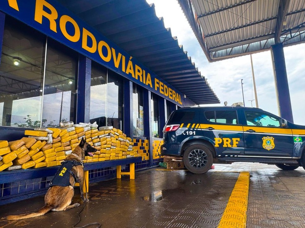 Cão farejador da PRF encontra mais de 160 kg de drogas durante fiscalização em Rondonópolis (MT) — Foto: PRF