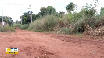 Mato alto domina ruas e causa indignação em moradores de Porto Nacional