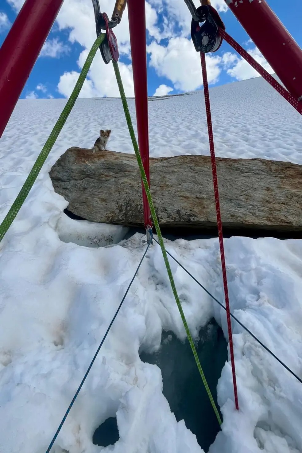 A estrutura construída pelos socorristas permitiu resgatar Jan com segurança — Foto: Air Zermatt/BBC