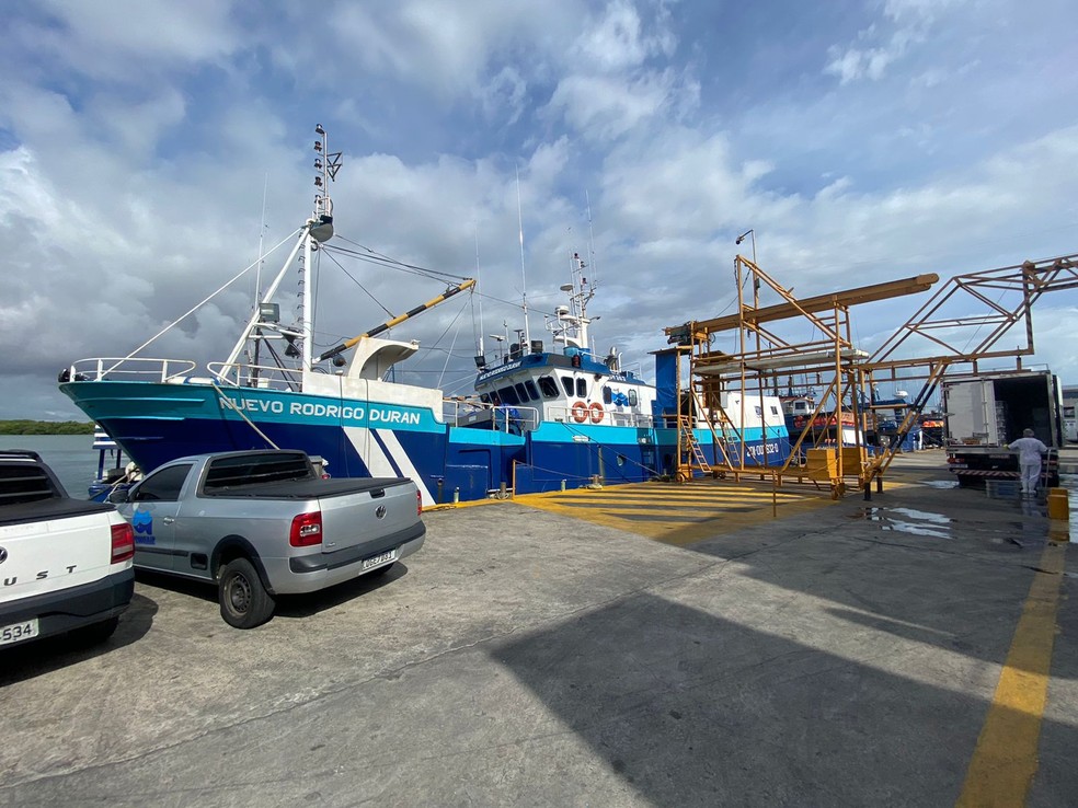 Pesca do atum &eacute; suspensa nacionalmente e setor pesqueiro do RN estima preju&iacute;zo de R$ 30 milh&otilde;es &mdash; Foto: Pedro Trindade/Inter TV Cabugi