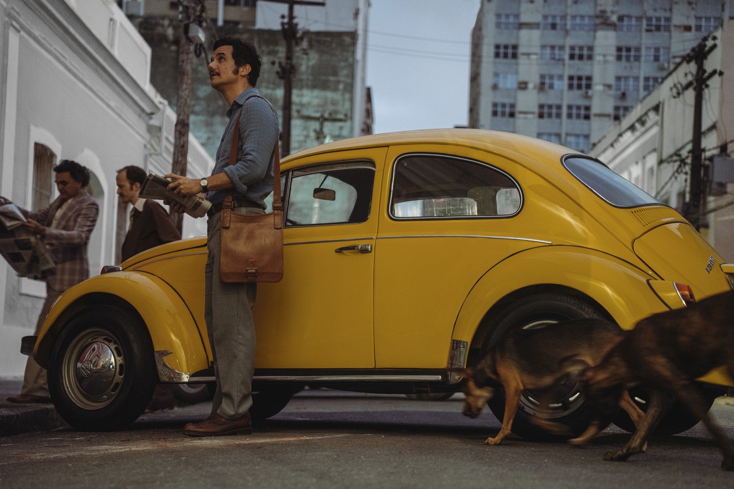 Oscar 2026: bares, cinemas e centros culturais de SP fazem eventos para acompanhar a premiação ao vivo