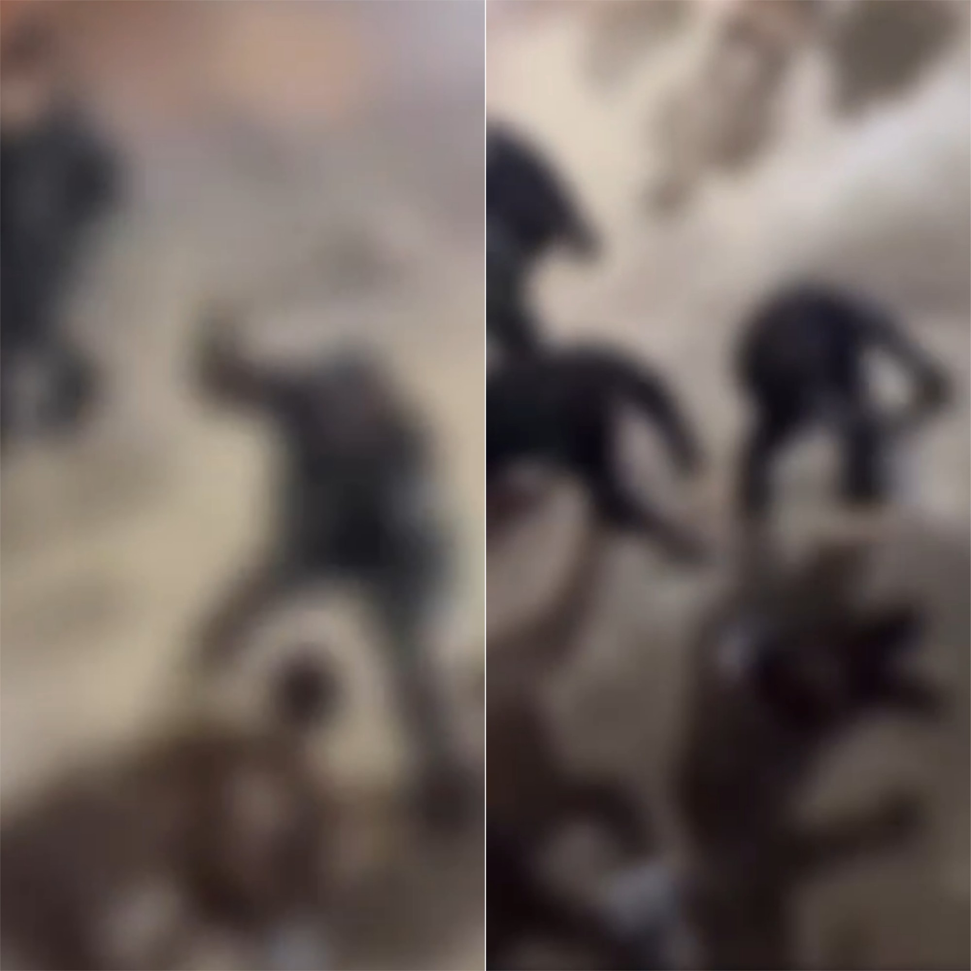 VÍDEO: Jovem surdo é agredido por seguranças em festa de carnaval no RN