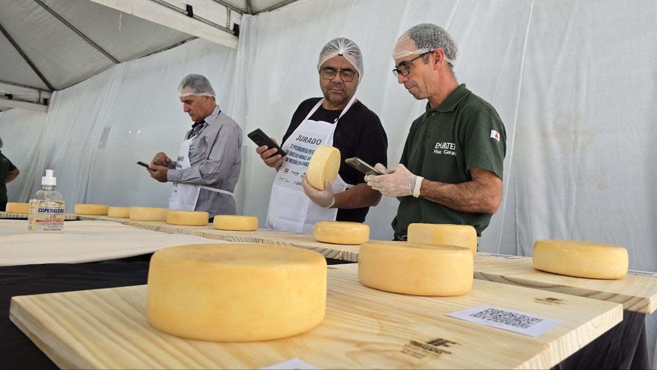 Produtor do Sul de Minas fica em 1º lugar em categoria do 21º Concurso Regional do Queijo Minas Artesanal da Canastra