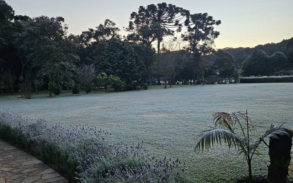 Geada em Monte Verde (25/06/25) — Foto: Nelson Pacheco