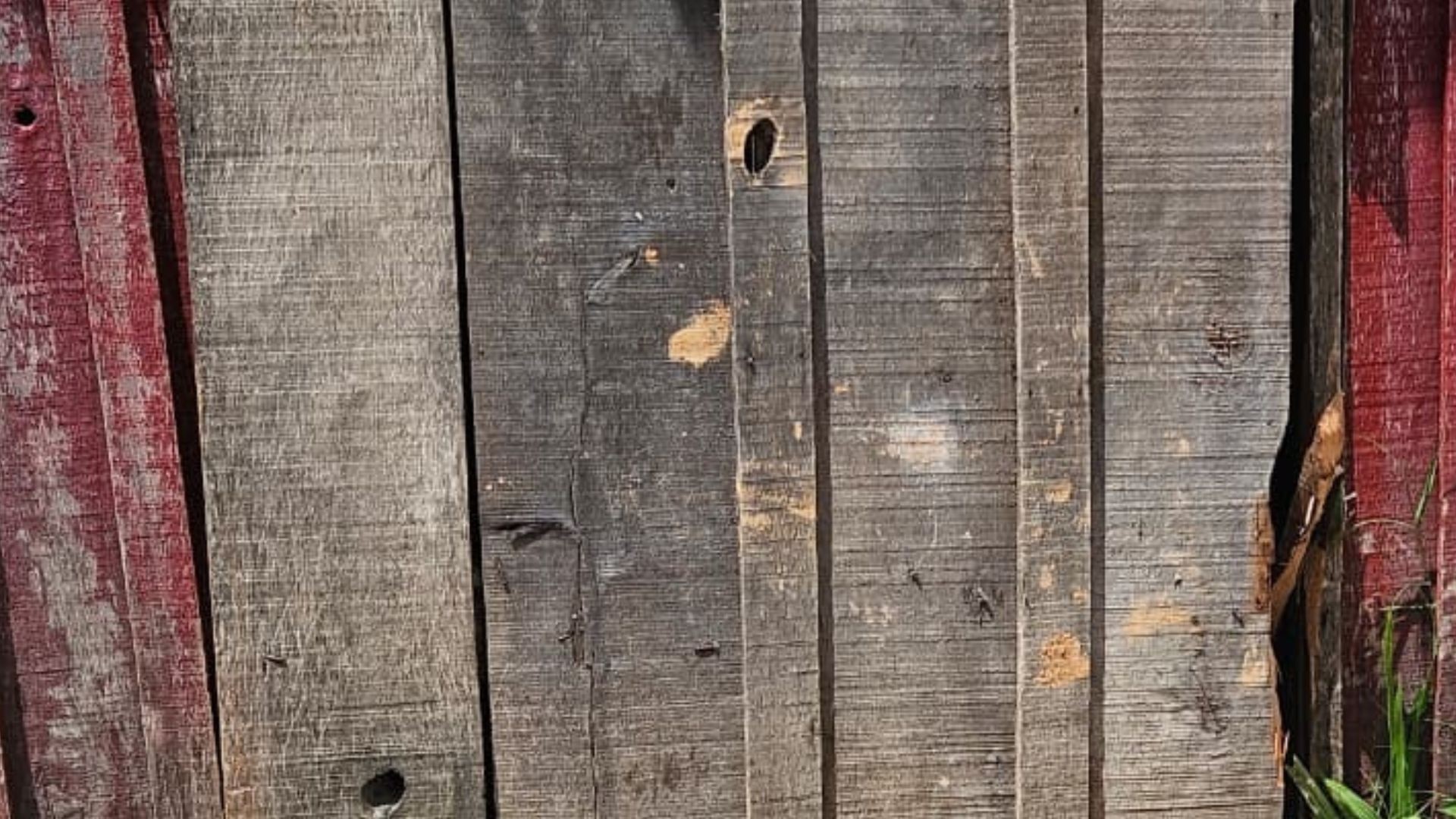 Menino de 10 anos morre e mãe e irmã ficam feridas após ataque a tiros no RS