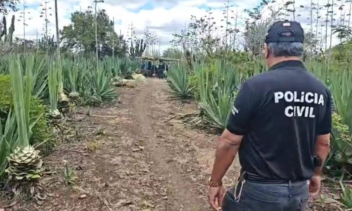Suspeito de abusar sexualmente da filha é preso quase 10 anos após o crime na Bahia 