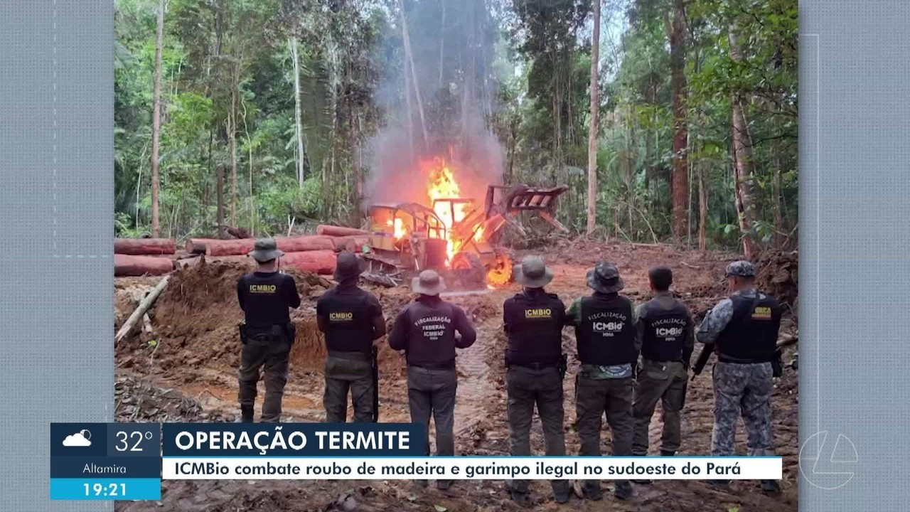 Operação 'Termite' apreende máquinas e investiga comércio ilegal de madeira no sudoeste do Pará