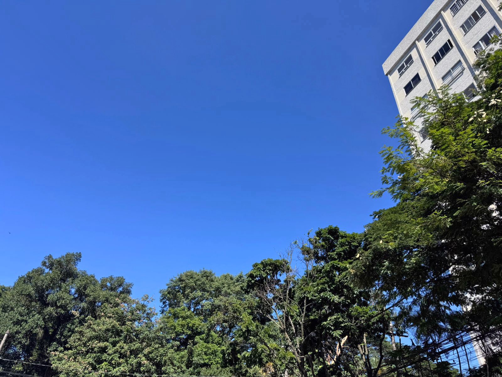Rio tem madrugada mais fria do ano, com 12,5 graus
