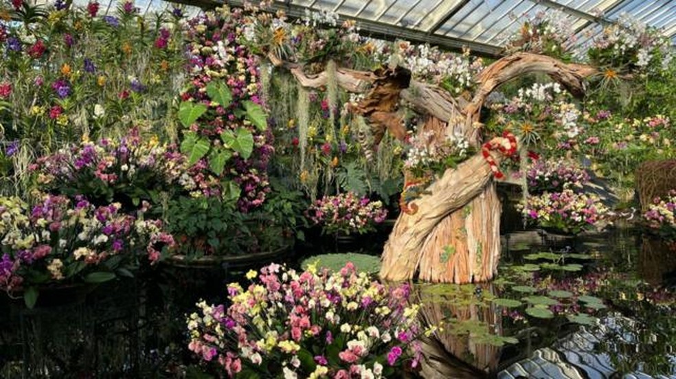 Um dos cenários do festival de orquídeas do Kew Gardens. Ao centro, os artistas montaram um baobá a partir de cascas de outras árvores — Foto: BBC