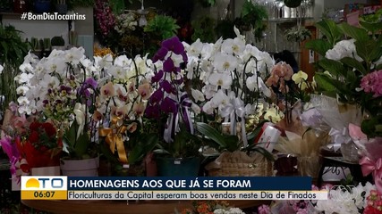 Floriculturas de Palmas iniciam preparativos para as vendas no Dia de Finados