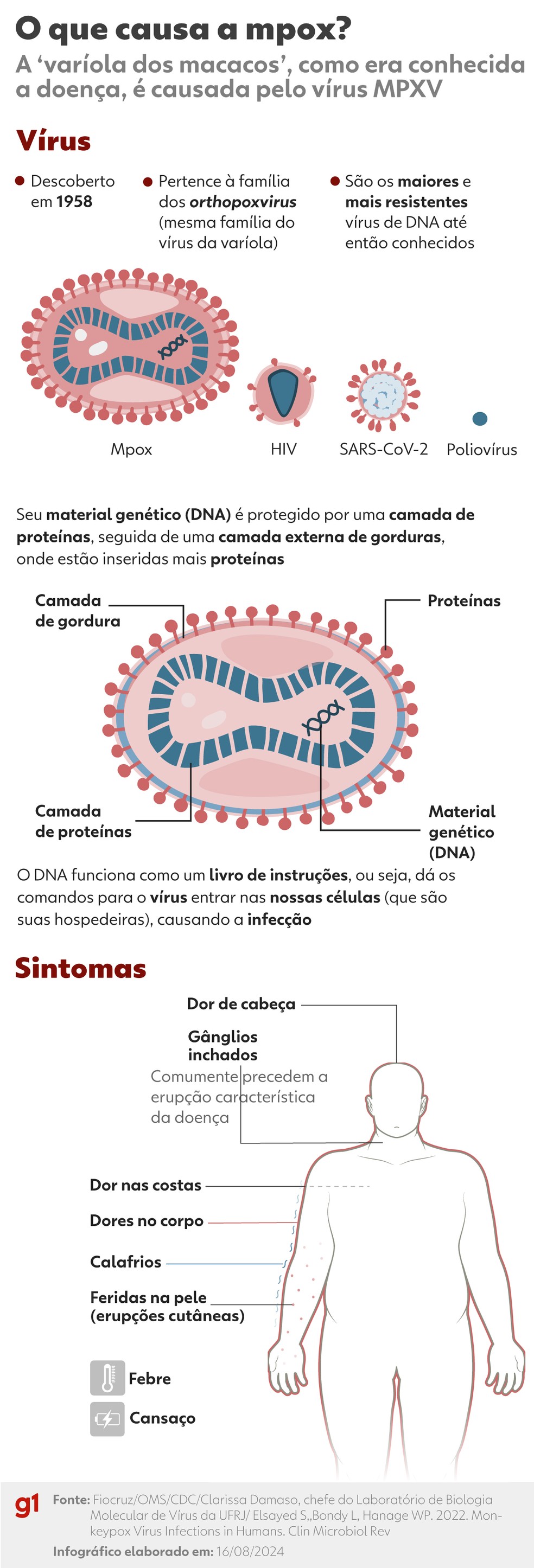 Conheça o vírus da mpox e os principais sintomas da doença. — Foto: Ana Moscatelli/Arte g1