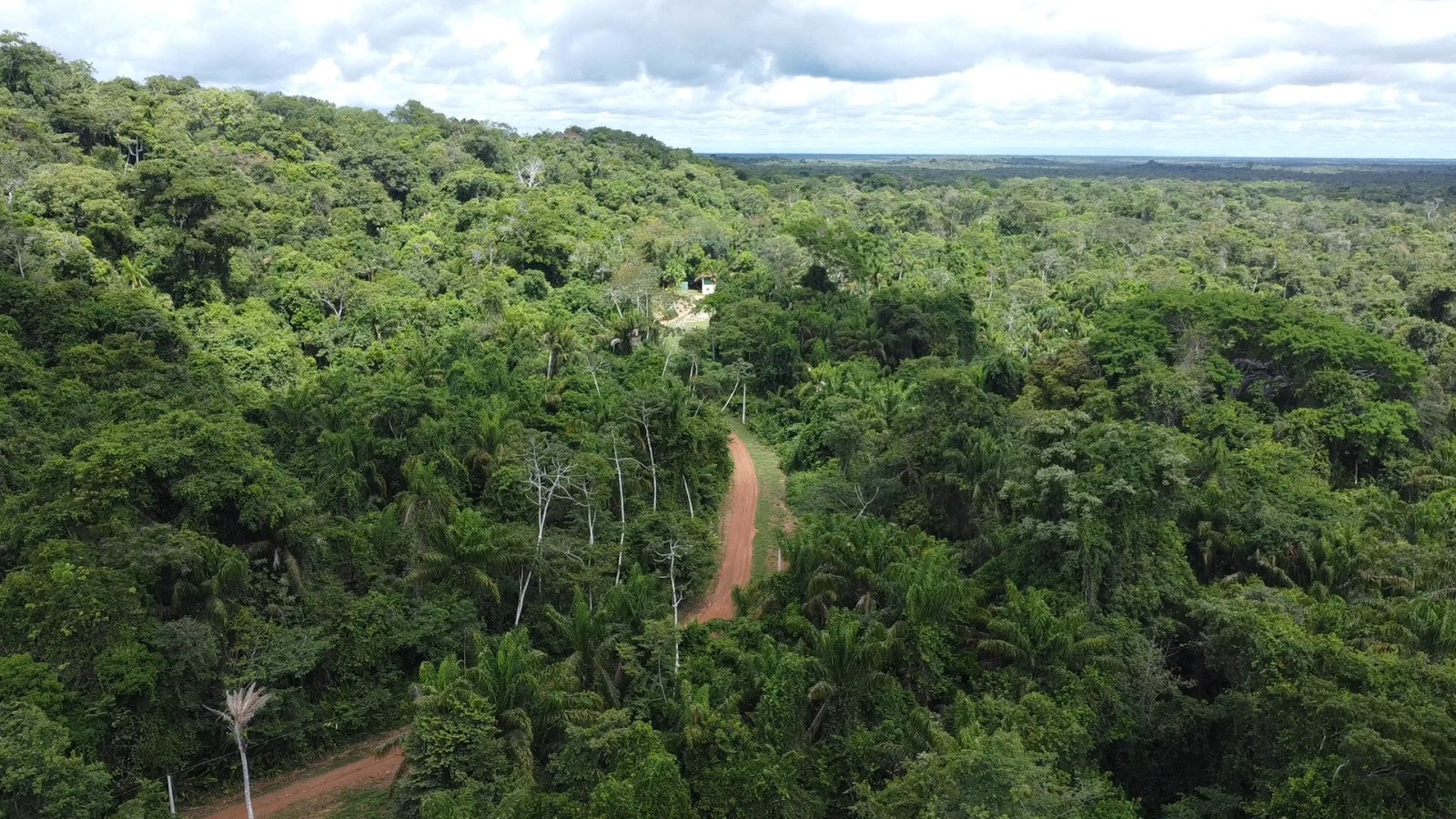 Roraima avança no manejo florestal com nova lei da Assembleia Legislativa