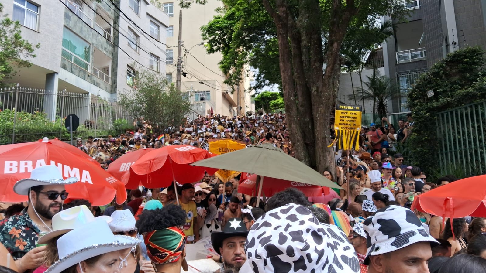 Veja fotos do sábado de pré-carnaval em BH