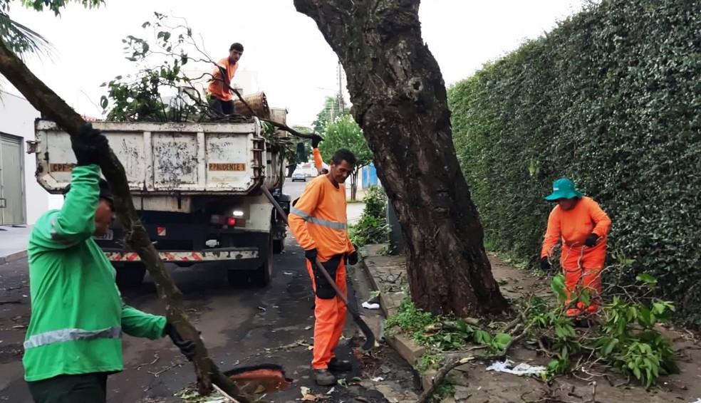 Equipes trabalham para consertar estragos causados por temporal em Presidente Prudente (SP) — Foto: Cedida/Secom