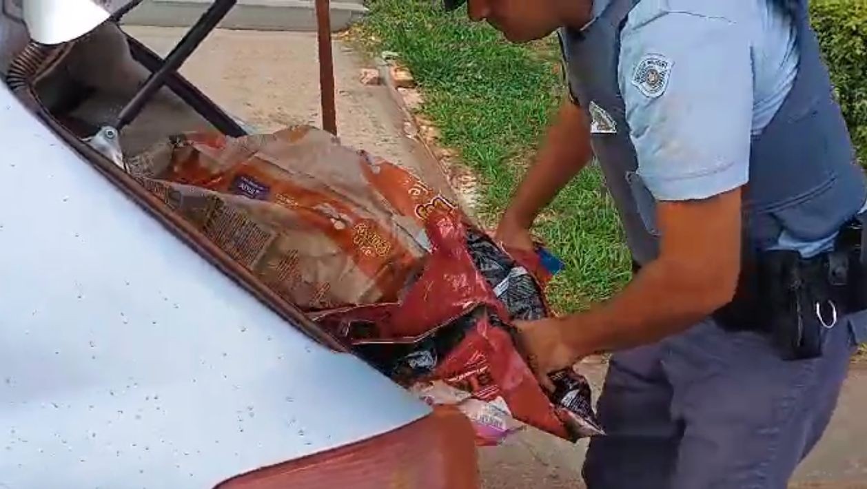 Polícia Rodoviária apreende quase 100 quilos de maconha em sacos de ração no interior de SP 