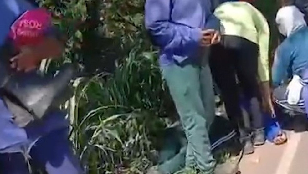 Trabalhadores rurais são atacados por abelhas em Capela — Foto: Rádio TV Capela