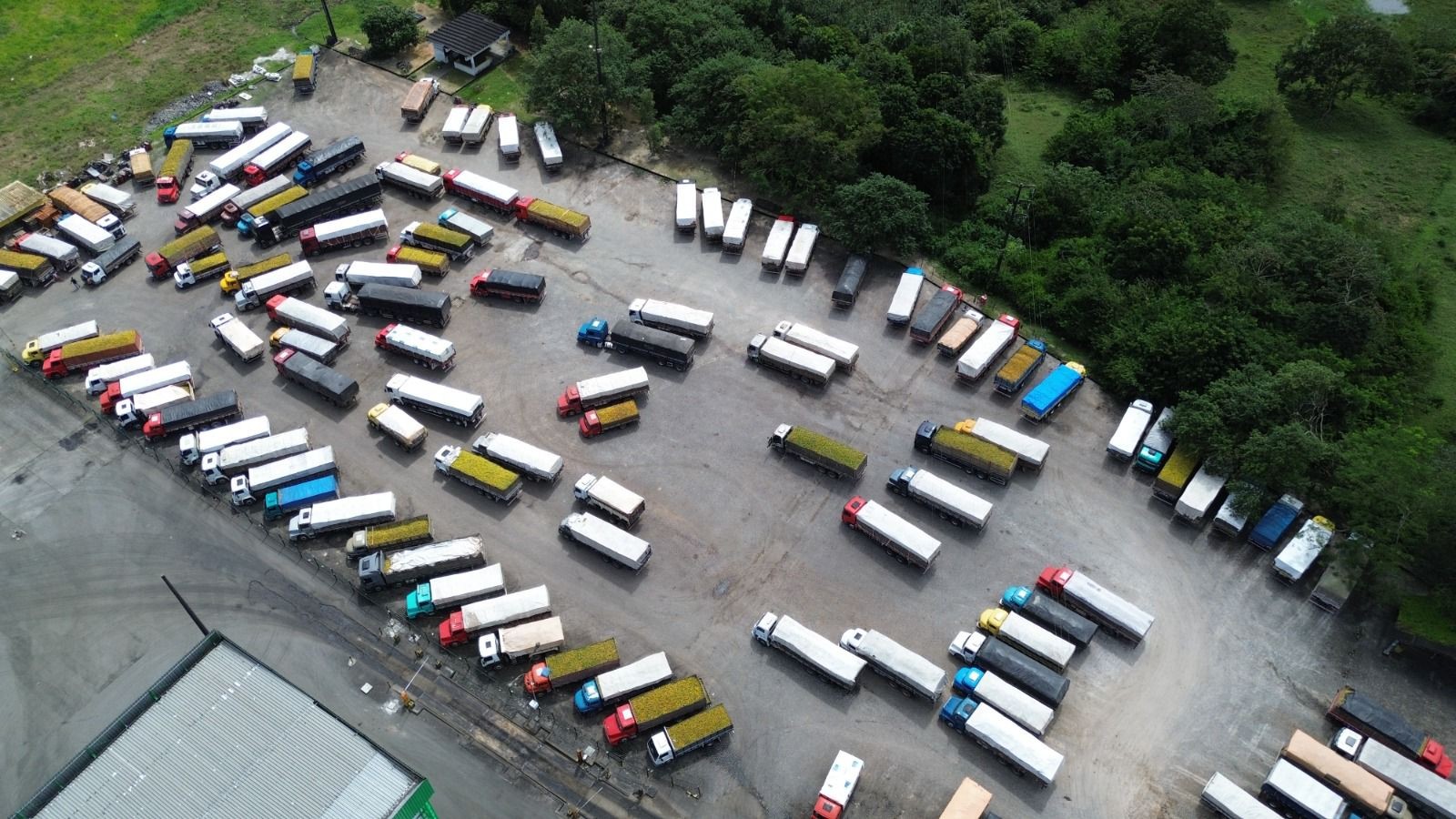 Filas de caminhões em fábricas de SE acendem alerta para crise de escoamento após supersafra de laranja