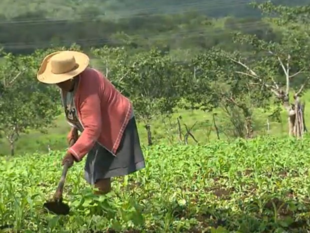 Mais de 2,5 mil produtores rurais devem atualizar cadastro para manter desconto na tarifa rural de energia elétrica; entenda