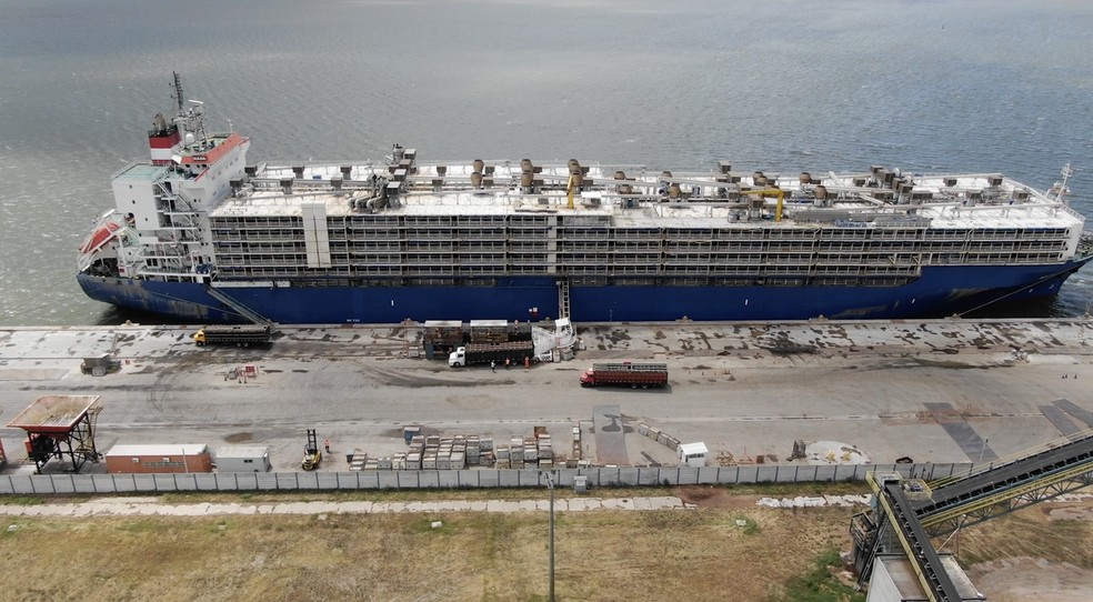 2026brliveexportdrone05 4 - Exporta&ccedil;&atilde;o de gado vivo dobra em 3 anos, mesmo com cr&iacute;ticas de ambientalistas ao transporte