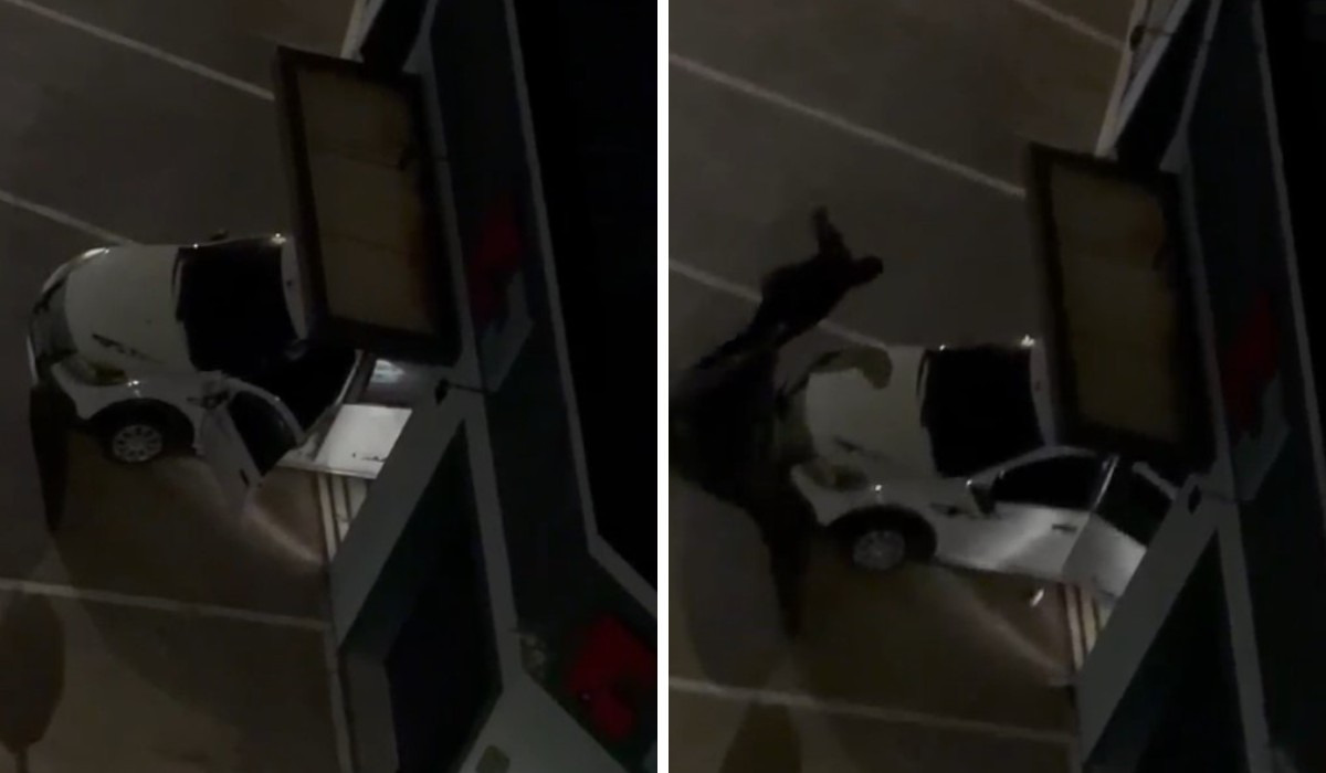 VÍDEO: criminosos usam carro para invadir e furtar farmácia em Campinas