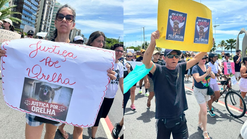 Manifestantes percoreram a orla da Praia de Camburi, em Vitória, pedindo justiça pelo cão Orelha. Espírito Santo — Foto: Silvio Locatelli