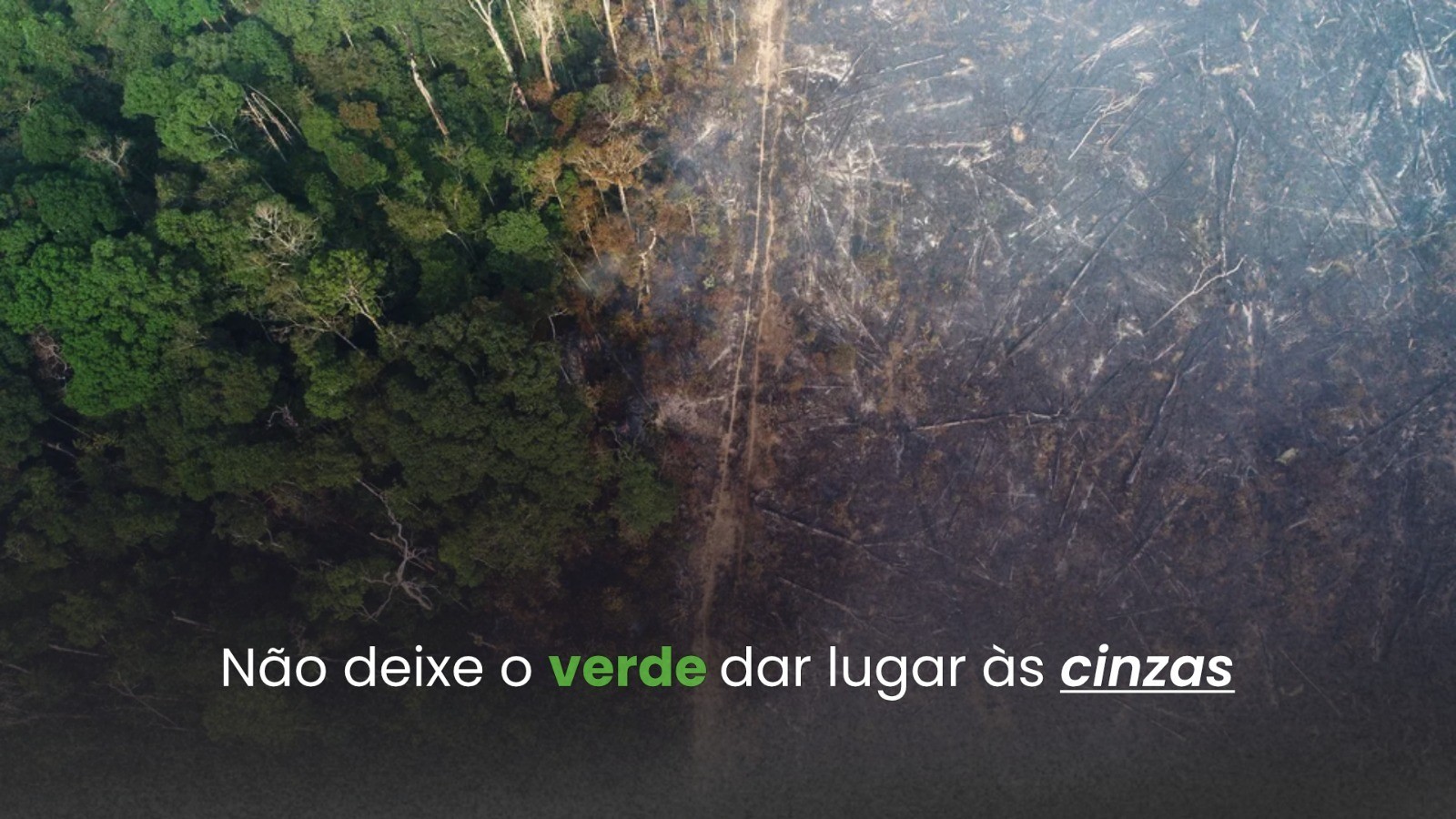 “Não deixe o verde dar lugar às cinzas”: FRAM lança campanha contra queimadas na Amazônia