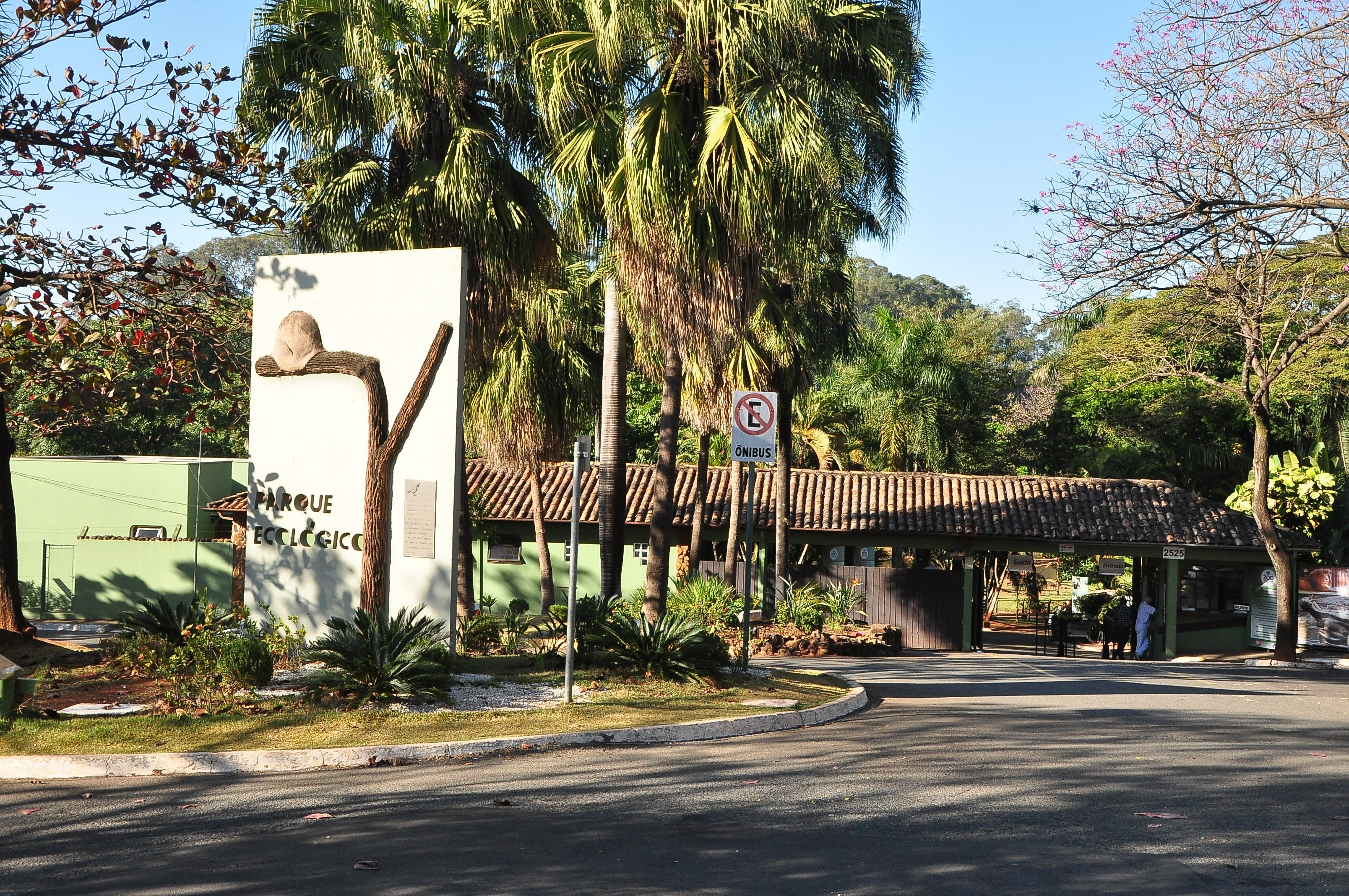 Ataque de abelhas contra funcionários e aves suspende atividades no Parque Ecológico de Americana