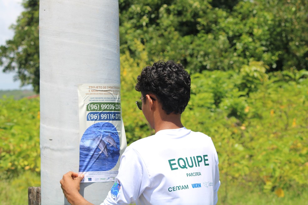 Projeto é uma parceria entre o Ifap e o Iepa — Foto: PCMC/Divulgação