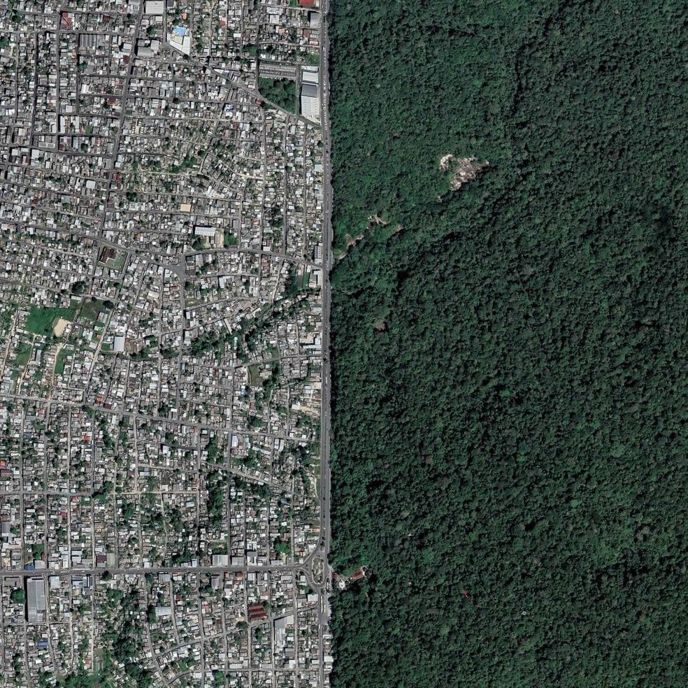Foto mostra parte da zona urbana de Manaus e a área de floresta do Museu da Amazônia, na Zona Norte da cidade — Foto: Adriano Liziero/Museu da Amazônia