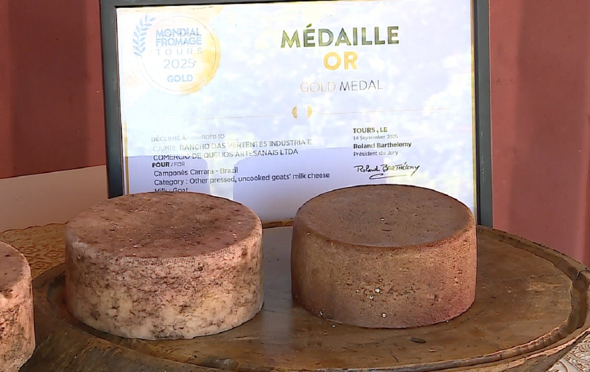Queijo mineiro com leite de cabra, açaí e beterraba é ouro no 'Oscar dos queijos' na França
