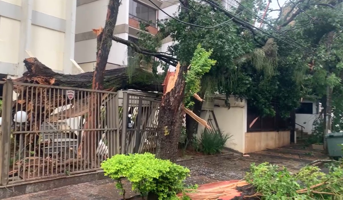 Cisalhamento e instabilidade? Entenda fenômenos que potencializaram temporal na região de Campinas