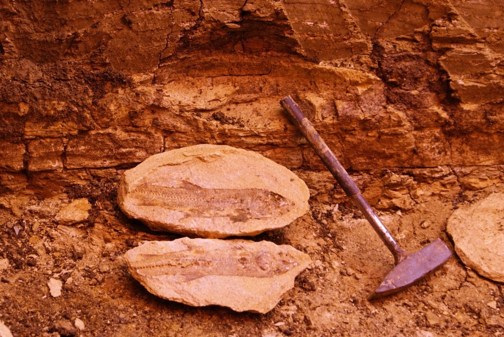 O geossítio Parque dos Pterossauros é um dos locais de escavações paleontológicas na região do Cariri — Foto: Geopark Araripe/Divulgação