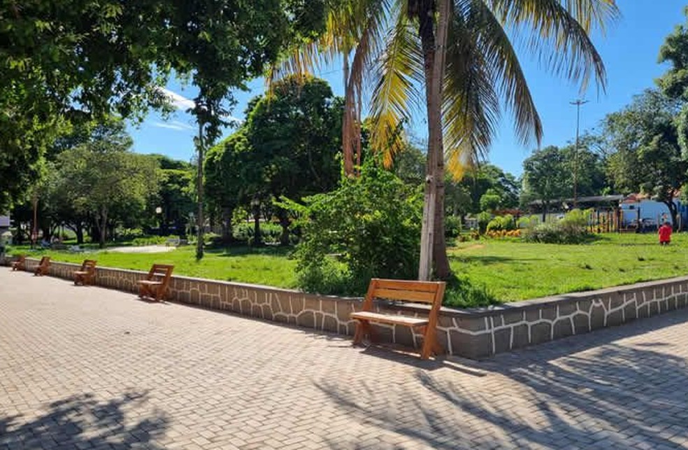 Iniciativa será realizada na Praça Nicolino Rondó — Foto: Prefeitura de Presidente Venceslau