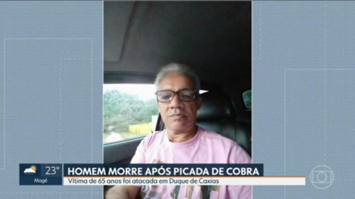 Idoso morre após ser picado por cobra em Duque de Caxias, na Baixada Fluminense  
