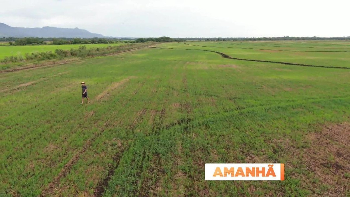 Globo Rural ganhará mais destaque nas manhãs de domingo - Bastidores - O  Planeta TV