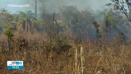 Naturatins publica portaria proibindo queimadas no Tocantins; entenda