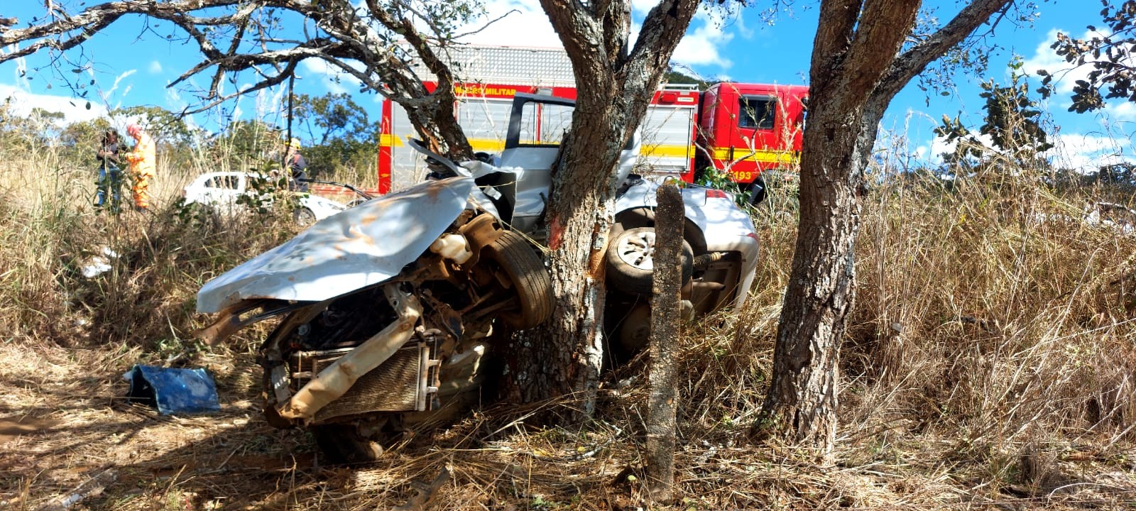 Advogada de 32 anos morre após carro bater em árvore na MG-188, em Patrocínio