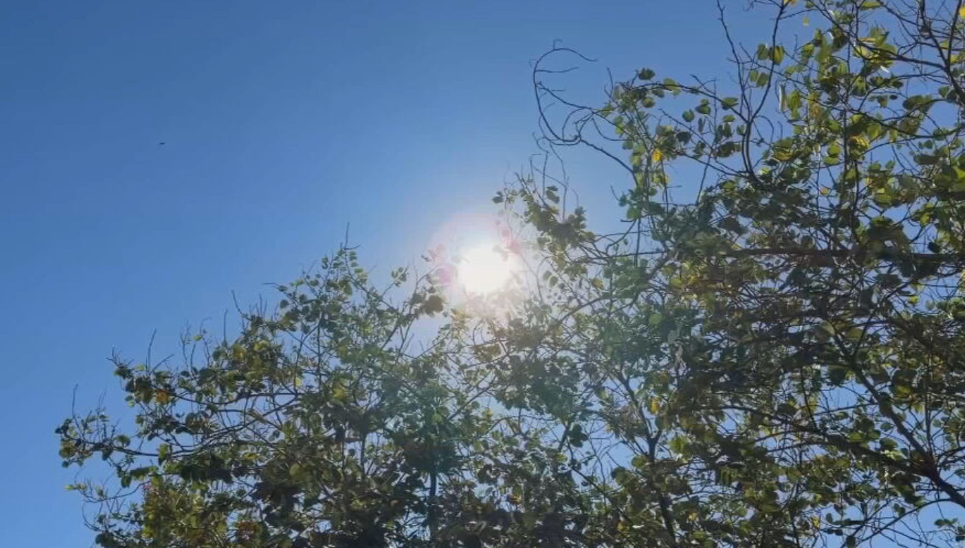 Tem Solução: cuidados com o calor e pneus que viram arte  ajudam a cuidar da saúde e do meio ambiente 